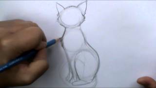 How to draw a basic cat sitting [upl. by Wylma]