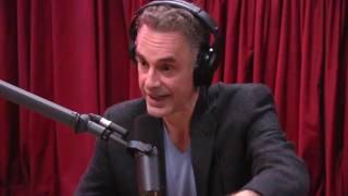 Jordan Peterson Explains the Male Dominance Hierarchy  The Joe Rogan Experience [upl. by Hett]