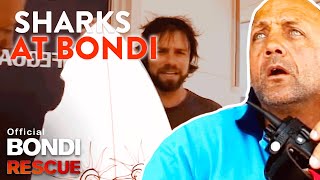 SHARKS at Bondi Beach  Top 5 Encounters [upl. by Newob111]