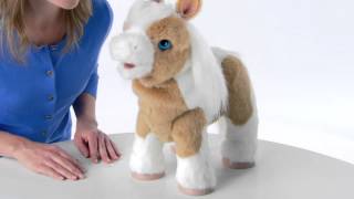 FurReal Friends Butterscotch Pony  Demo [upl. by Gerta]