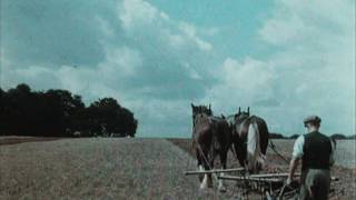 English Harvest 1938 [upl. by Eisserc]