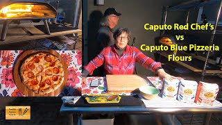 Caputo Blue Pizzeria vs Caputo Red Chefs Flour [upl. by Snook]