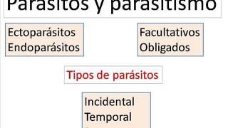 Parásitos y parasitismo [upl. by Leoline]