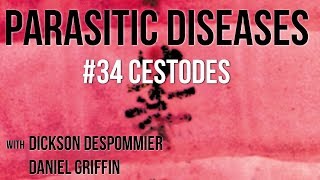 Parasitic Diseases Lectures 34 Cestodes [upl. by Hsital]