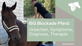 ISG Blockade Pferd  Ursachen Symptome Diagnose Therapie [upl. by Annohsat]