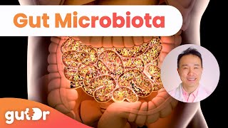 What is Gut Microbiota  GutDr MiniExplainer [upl. by Noyar]