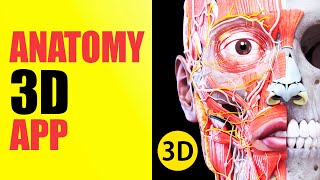 Anatomy 3D Atlas  Best Medical App [upl. by Martainn]