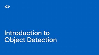 Ondevice object detection Introduction [upl. by Llenram256]