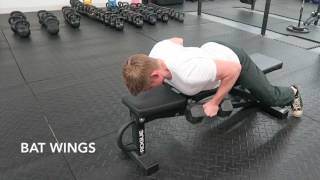 Bat Wing Rows Exercise Tutorial [upl. by Arihsay]