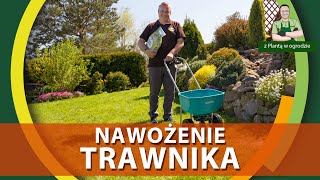 Jak nawozić trawnik  Z PLANTĄ W OGRODZIE [upl. by Akessej]