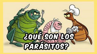 La clasificación de los parásitos  parásitos [upl. by Bakemeier691]