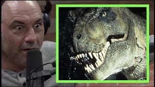 Joe Rogan  The Mysteries of the TREX [upl. by Elyrpa400]