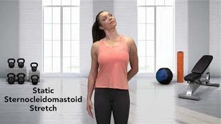 How to do a Sternocleidomastoid Stretch [upl. by Lirrehs]