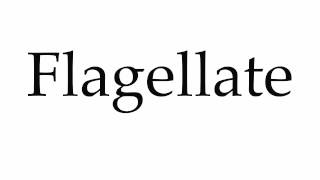 How to Pronounce Flagellate [upl. by Tali]