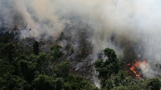 Incendios forestales en el Amazonas avanzan a una velocidad récord [upl. by Gaidano]