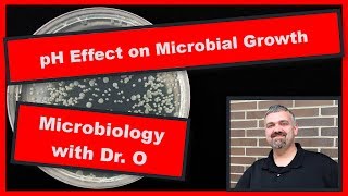 pH Effect on Microbial Growth Microbiology [upl. by Noella587]