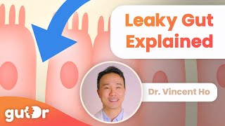 What is Leaky Gut  GutDr MiniExplainer [upl. by Erdnuaed]