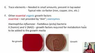 Chapter 6 Microbial Growth [upl. by Inalel]