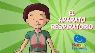 EL APARATO RESPIRATORIO  Videos Educativos para Niños [upl. by Ymeraj23]