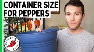 Container Size for Pepper Plants  Ideal Pot Size  Pepper Geek [upl. by Alessandra]