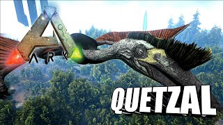 Taming A Quetzal  Ark Survival Evolved  The Island [upl. by Ydnam475]