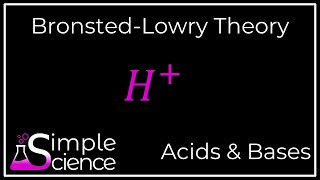 BronstedLowry Theory [upl. by Zoila]