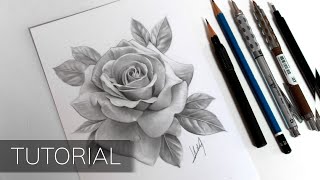 Tutorial  How to Draw a Realistic Rose [upl. by Hesoj946]