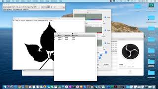 ImageJ Tutorial 14  Measure Leaf Disease Area Sampled Leaves [upl. by Wills981]