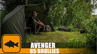 Prologic Avenger Brolly with Mozzie Mesh and Brolly System  Carp Fishing [upl. by Rose95]