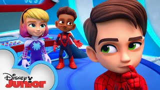 Meet Spidey and his Amazing Friends Short 11  WEBSTER  disneyjunior MarvelHQ​ [upl. by Ainat]