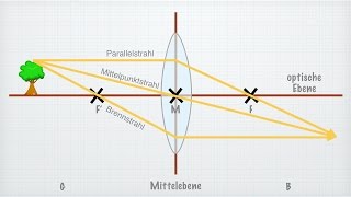 Linsen in der Optik [upl. by Cirri]