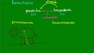 Parasitismo  Ecologia  Biologia [upl. by Krutz640]