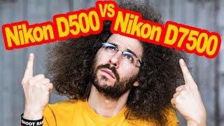 Nikon D500 VS Nikon D7500 Comparison Which To Buy [upl. by Kciredes]