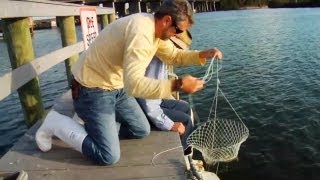 How to Catch Blue Crabs [upl. by Mandal]