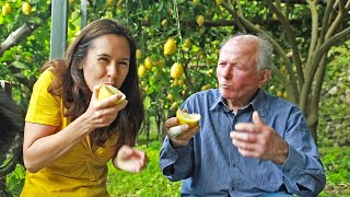 LEMON  How Does it Grow ITALY SPECIAL sweet Amalfi lemons [upl. by Anilegnave727]