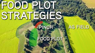 Small Acre Food Plot Strategy For Better Deer Hunting [upl. by Robbie]