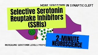 2Minute Neuroscience Selective Serotonin Reuptake Inhibitors SSRIs [upl. by Mobley635]