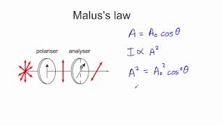 Malus law [upl. by Alatea]