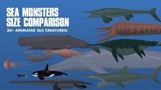 LARGEST SEA CREATURES  ANIMATED Size Comparison Sea Monsters [upl. by Cliff]