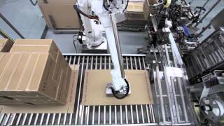 Robotic Case Packer and Palletiser [upl. by Ycrad]