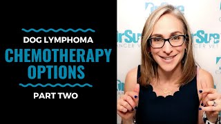 Dog Lymphoma Chemotherapy Options Part Two Vlog 88 [upl. by Kleiman494]