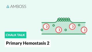 Primary Hemostasis  Part 2 Platelet Activation [upl. by Auhesoj132]