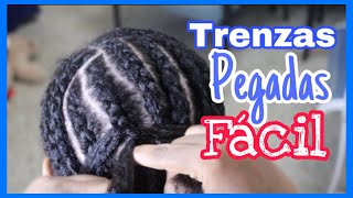 COMO HACER TRENZAS PEGADAS PARA PRINCIPIANTES [upl. by Atiuqes]