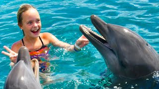 We Play with Dolphins on a Tropical Island Kids Fun TV [upl. by Ferris]