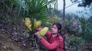 Cooking with Wild Ingredients from the Mountain [upl. by Andrea872]