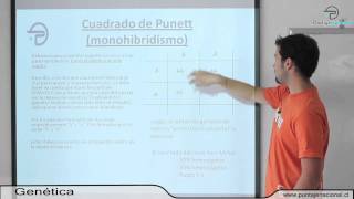 BIOLOGIA MC  Variabilidad herencia y evolución  Genética [upl. by Nna]