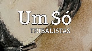 Um Só  Tribalistas lyric video [upl. by Llednek]