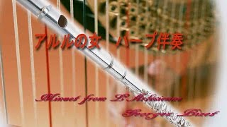 アルルの女 楽譜 ハープ伴奏 Minuet from LArlésienne [upl. by Ynolem]