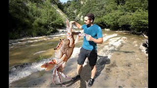 Il misterioso GRANCHIO DI FIUME [upl. by Gainer]