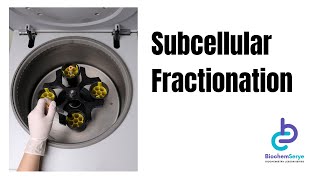 Subcellular Fractionation  Cell Fractionation  Biochemistry [upl. by Jessalin25]